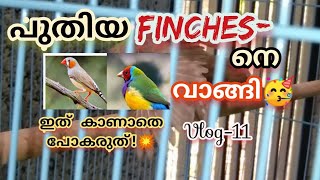 BOUGHT OUR NEW BIRDS!?😁 പുതിയ FINCHES നെ വാങ്ങിയപ്പോൾ..😁 screenshot 5