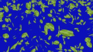 Футаж на синем фоне - Падающие листья