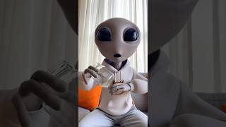 Chunky is looking suspicious when​⁠ @Beejo_The_ET is missing his sugar rocks.