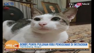 Kenal Lebih Dekat, Ternyata Prabowo Punya Kucing Peliharaan Bernama Bobby  SIP 01/03