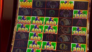 Never give up!!! Buffalo’s came through #casino #games #slot  screenshot 3