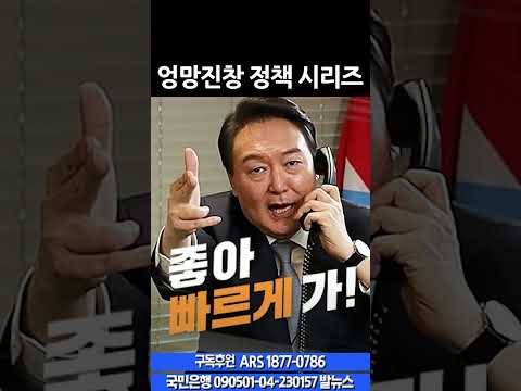 엉망진창 정책 시리즈