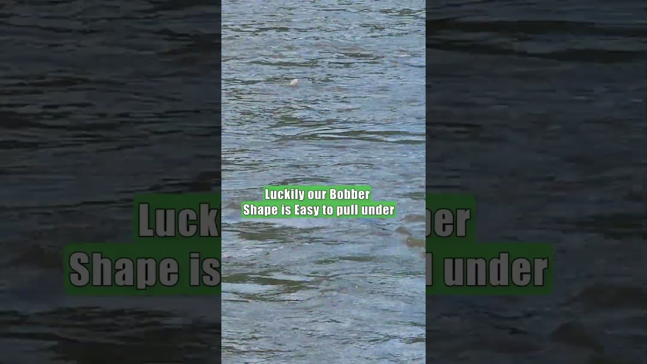 Начните ловить больше рыбы на речных реках: плоскоголового, синего и канального сома: лучшие снас...