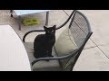 Boo Day 16 - Cat Patio Furniture - Training And Socializing A Feral Cat Boo Day 16 - Cat Patio Furniture - Training And Socializing A Feral Cat