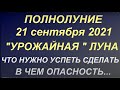 Полнолуние 21 сентября 2021. "Урожайная "Луна. Что нужно успеть сделать. В чем опасность...Фазы луны