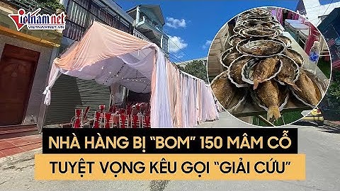 Vụ bom 150 mâm cỗ cưới ở Điện Biên: Nhà hàng tuyệt vọng kêu gọi người dân giải cứu 150 mâm cỗ