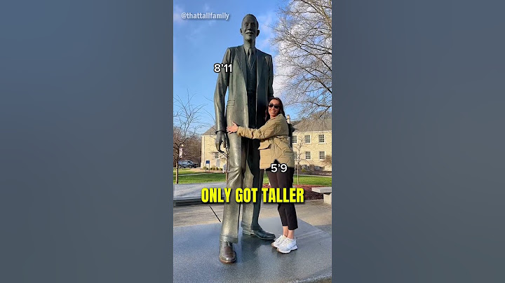 The Tallest Person vs. The Tallest Family!