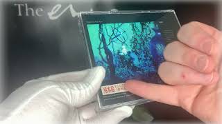 Enya Archive Short 845 1991 Shepherd Moons First Edition Sample Cd Japan