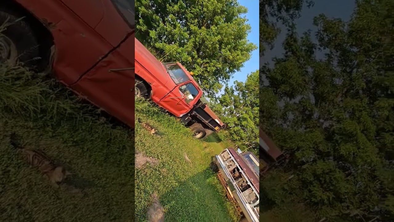 1957 to 1979 fords. Just a few i have in the one yard 