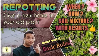 Repotting- learn when & how- with results | must watch