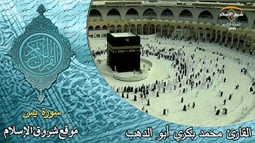 سورة يس ( القارئ محمد بكري أبو الدهب )