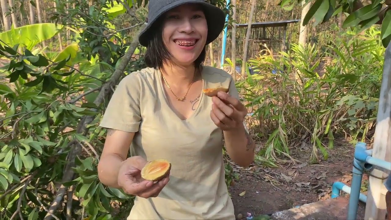 เก็บ ละมุดสวนตัวเองจ้า