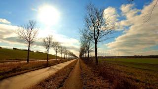 Winter in the Polder | 16 km of Calm and Open Space