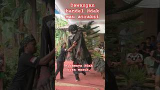 Download Lagu Singo Manggollo Jati's dawangan #dawangan #trending #viral MP3