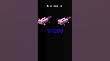 I tried selling blue axolotls on the Donut SMP!