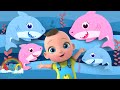 Baby Shark Dance | Baby Shark Doo Doo | Nursery Rhymes by Little Learning Corner