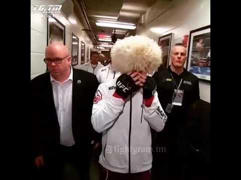 хабиб и сабина фото. хабибаб. песня разрывная хабиб. песня хабиба. песня выхода хабиба.