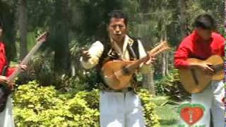 Los autenticos de coaza LOCO POR TU AMOR