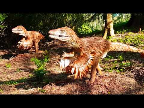 Video: Historikere Har Debunked Disse Dinosaur Mytene! - Alternativ Visning