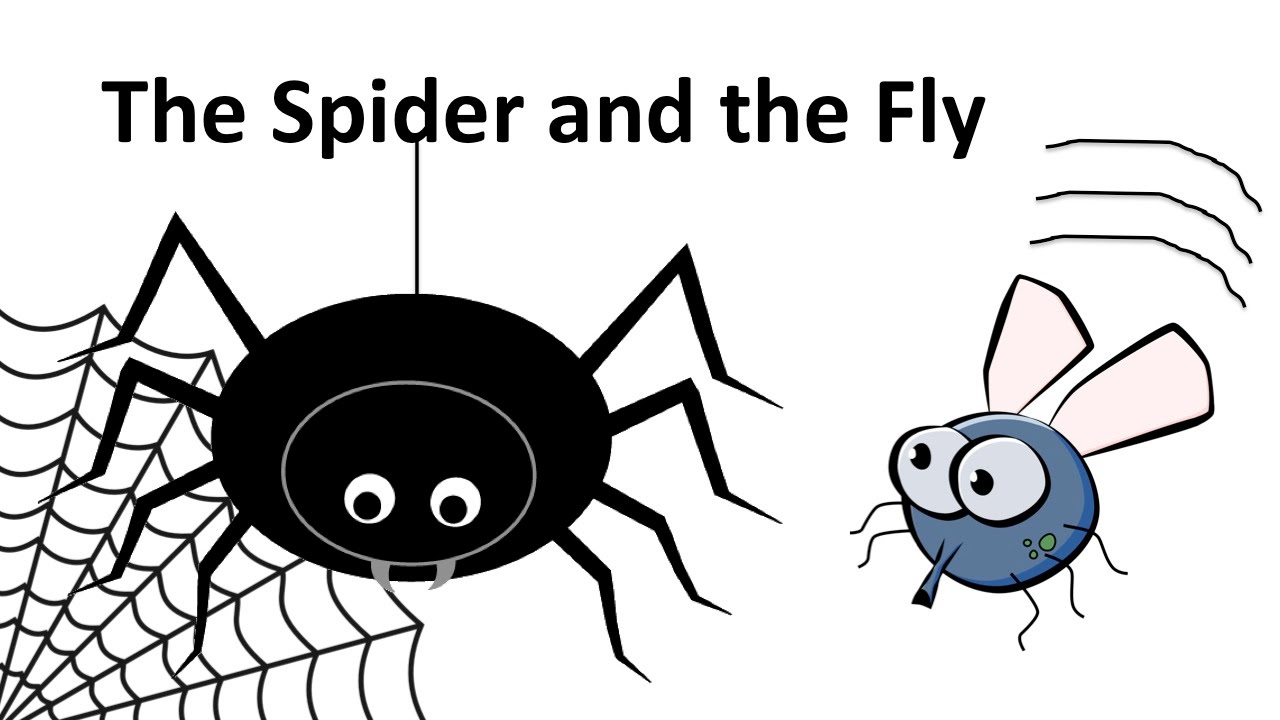 паук. паук на паутине. The spider and the fly. паук прослушка. паук на черном фоне.