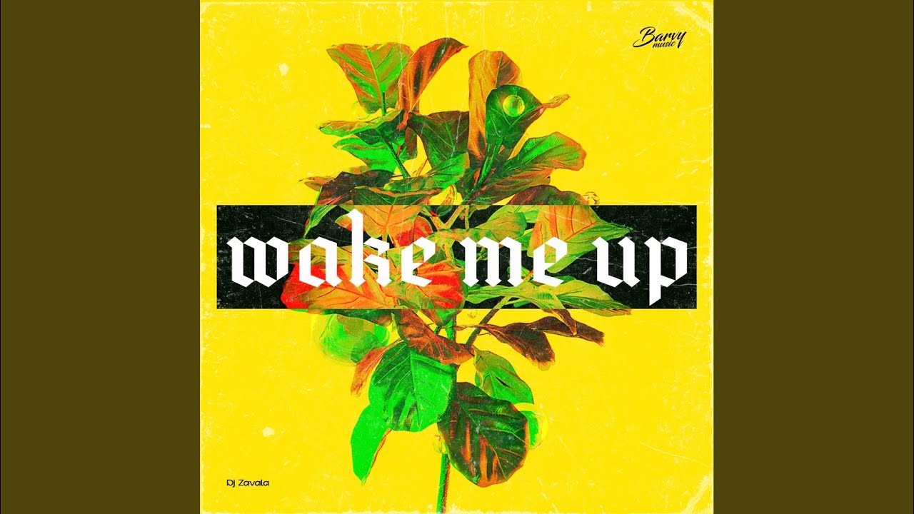 Wake Me Up YouTube Music