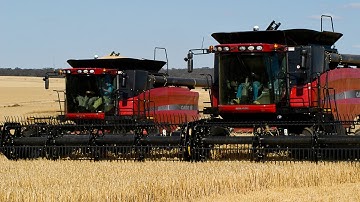Harvester Forum: Part 4/8 | Adjusting your Case IH harvester to reduce losses