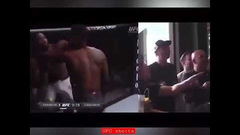 Dan Hooker Reaction To Israel Adesanya Vs Brunson || UFC shorts || #shorts