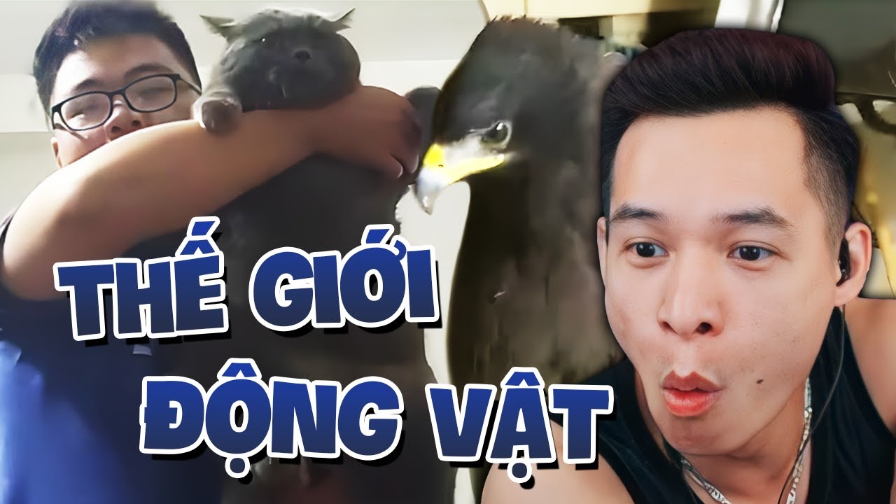 (Talkshow) Chiêm ngưỡng dàn thú cưng độc lạ, muôn màu muôn vẻ của anh em Discord Bộ Tộc Mixigaming.