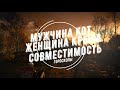 Совместимость мужчина Кот и женщина Крыса