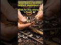 POV: You found a Giant Magical Centipede! 😱🐛 | #drjeen #shorts