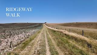 4K ASMR Exploring The Ridgeway, Wiltshire | Stunning View  | Bright & Hot Summer Day | July 2026.