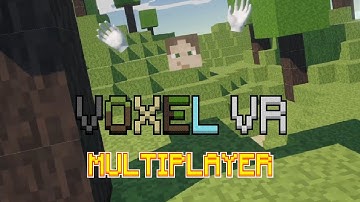 I added MULTIPLAYER to Voxel VR!