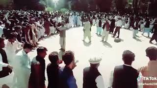 Best Attan Musharaf Bangash Song Waziristan Tiger