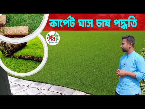 ভিডিও: সবুজ লন কি বায়ুপূর্ণ করে?