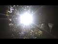 Descifrando la Creación  Génesis 22 con IA