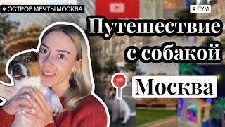 С СОБАКОЙ В МОСКВУ