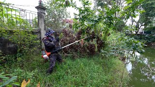 видео: Забор у озера Обеспокоенная женщина с заросшей травой и деревьями Уборку в переходный период я сде картинка: Забор у озера Обеспокоенная женщина с заросшей травой и деревьями Уборку в переходный период я сде