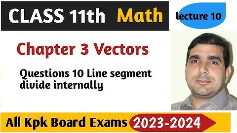 Find position vector which divide line segment internally and externally