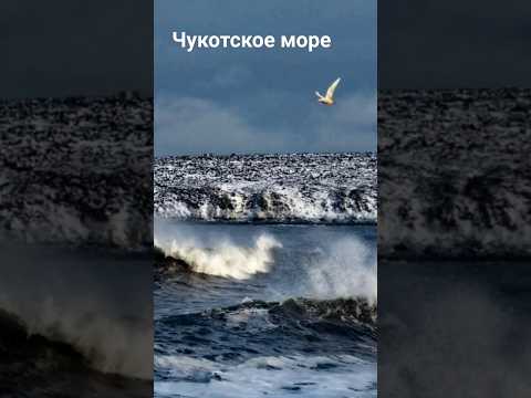 #андрейординарцев #моряссср#природассср Чукотское море