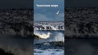 #андрейординарцев #моряссср#природассср Чукотское море