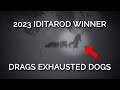 2023 iditarod winner drags exhausted dogs