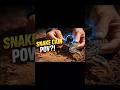 Real Snake POV Video 🐍 Spy Cam Experiment Gone Viral!