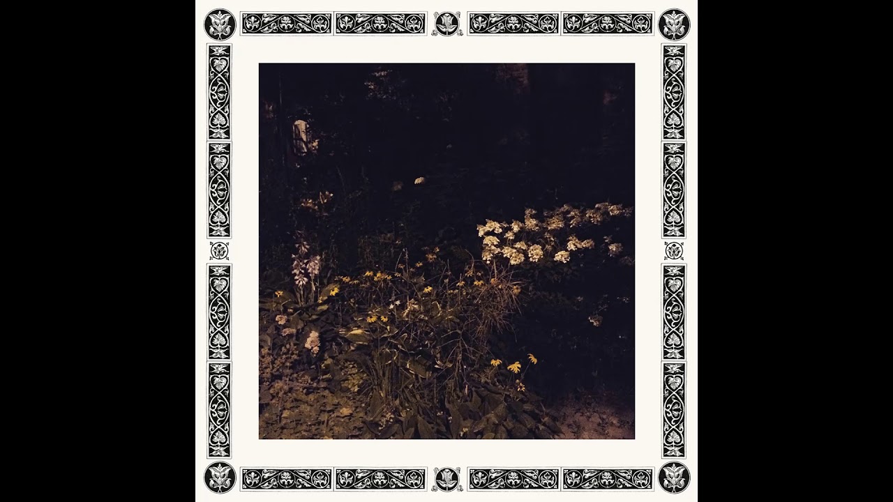 Sarah Davachi - Pale Bloom (2019) Full Album