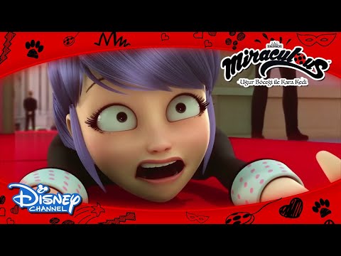 Mucize: Uğur Böceği ile Kara Kedi | Sizi Gidi Şapşikler 😅 | Disney Channel TR