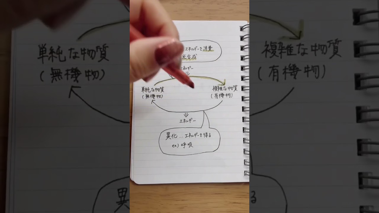 同化と異化、どっちがどっち?この動画で完璧にしよう! #定期テスト #生物基礎