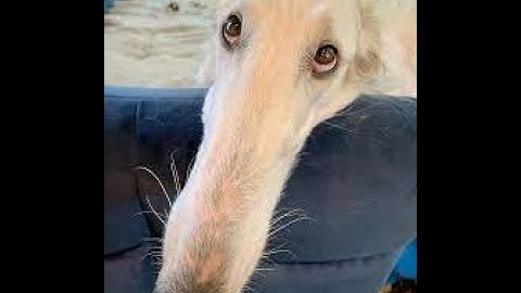 Unnamed 0 //  Full Extreme Demon Layout