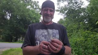 Download Lagu AMAZING GRASS!! 2024! MP3