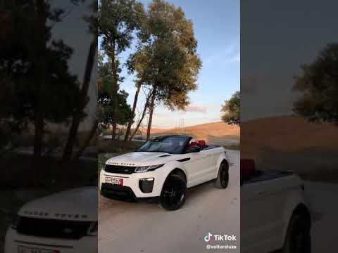 تڤعد عاقل نشريلك آريني