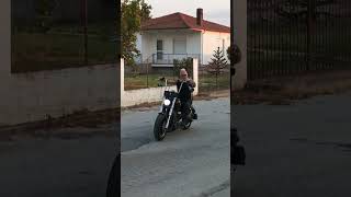 Harley Davidson sportster 1200 custom
