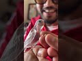 Burung kaca